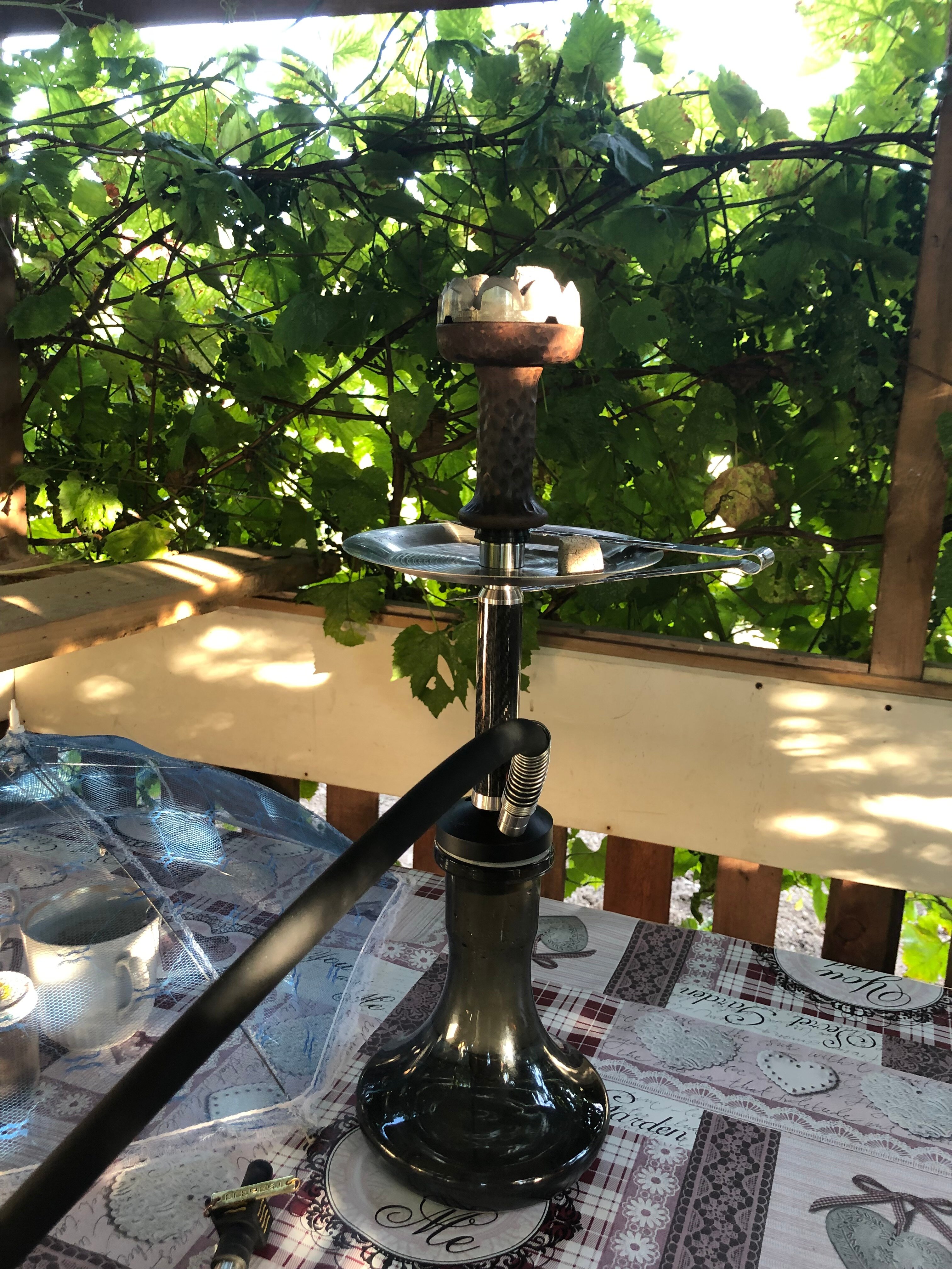 Фото Ковчег