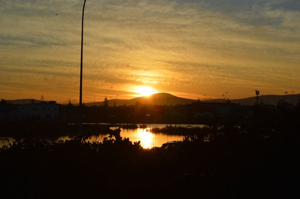 Фото Dolphin Beach Hotel