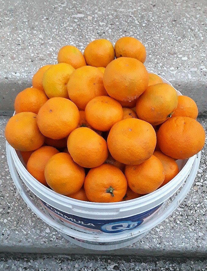 Фото Гостевой Дом Лазурный Берег