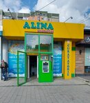 Alina (strada Alba-Iulia, 196/3), tienda de artículos para el hogar y productos químicos domésticos