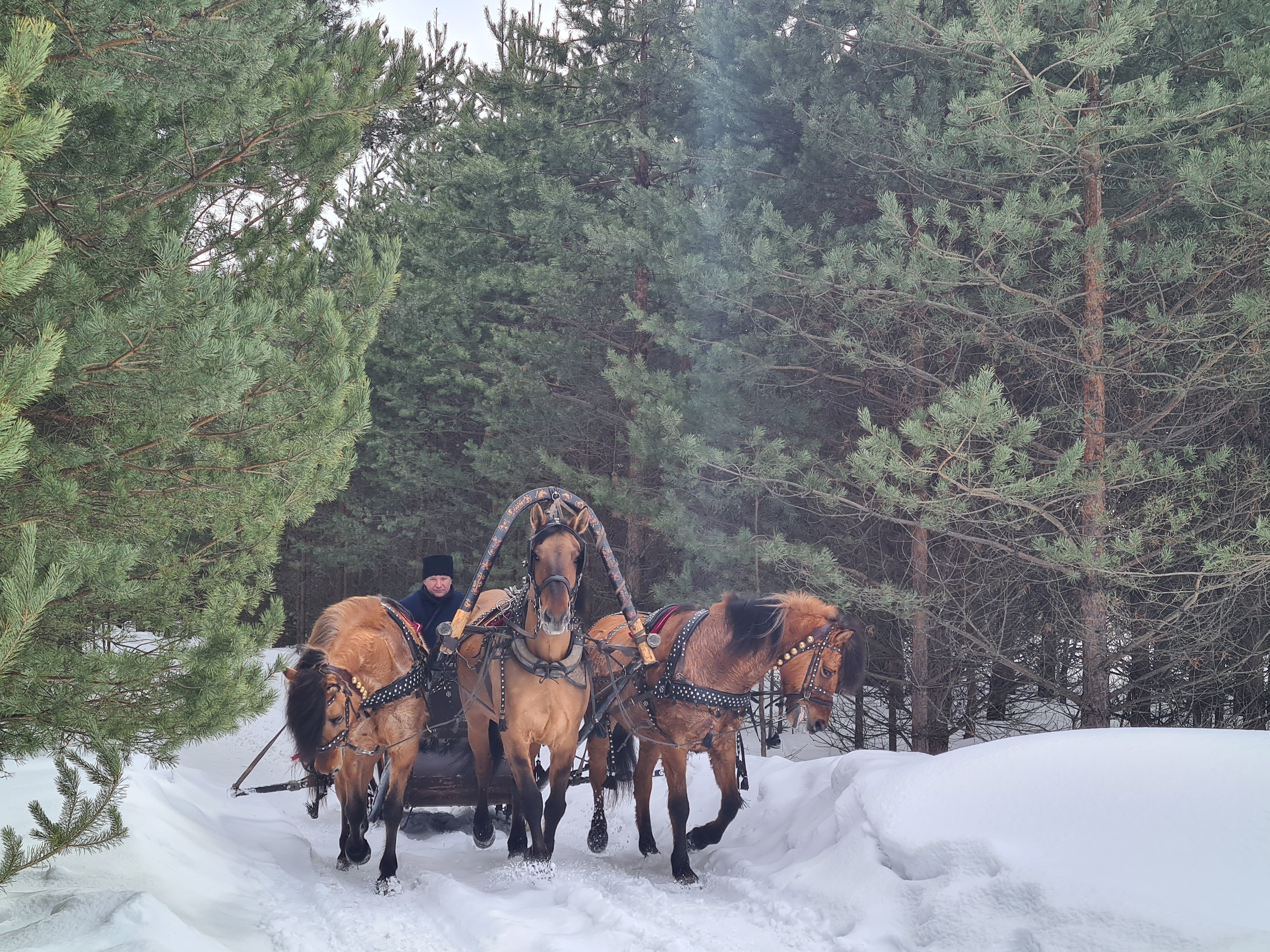 Фото Подворье Ямщика