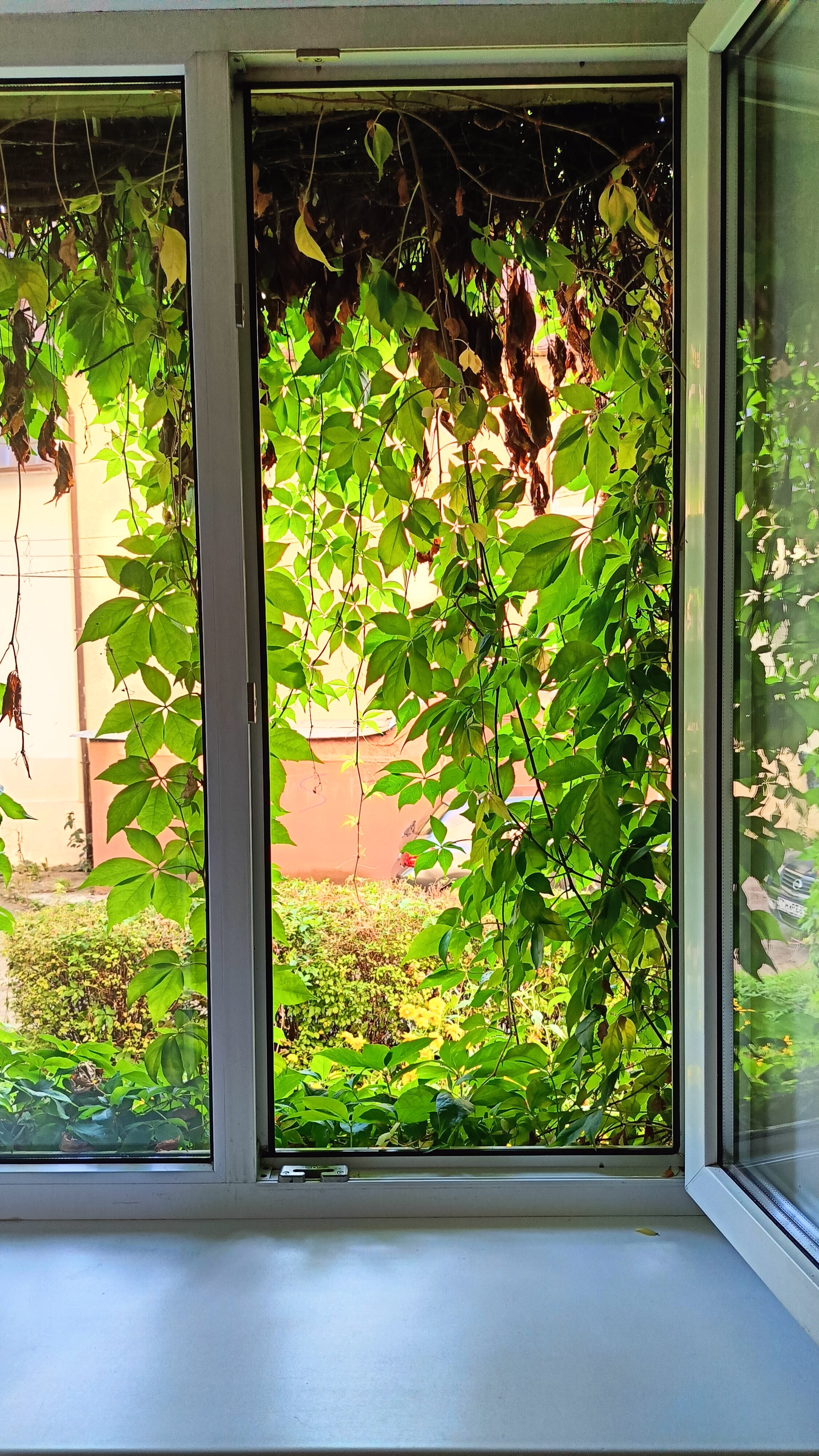 Фото Островок