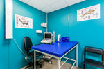 Priv-vet (Moscow, 15th Parkovaya Street, 40к5) ، عيادة بيطرية