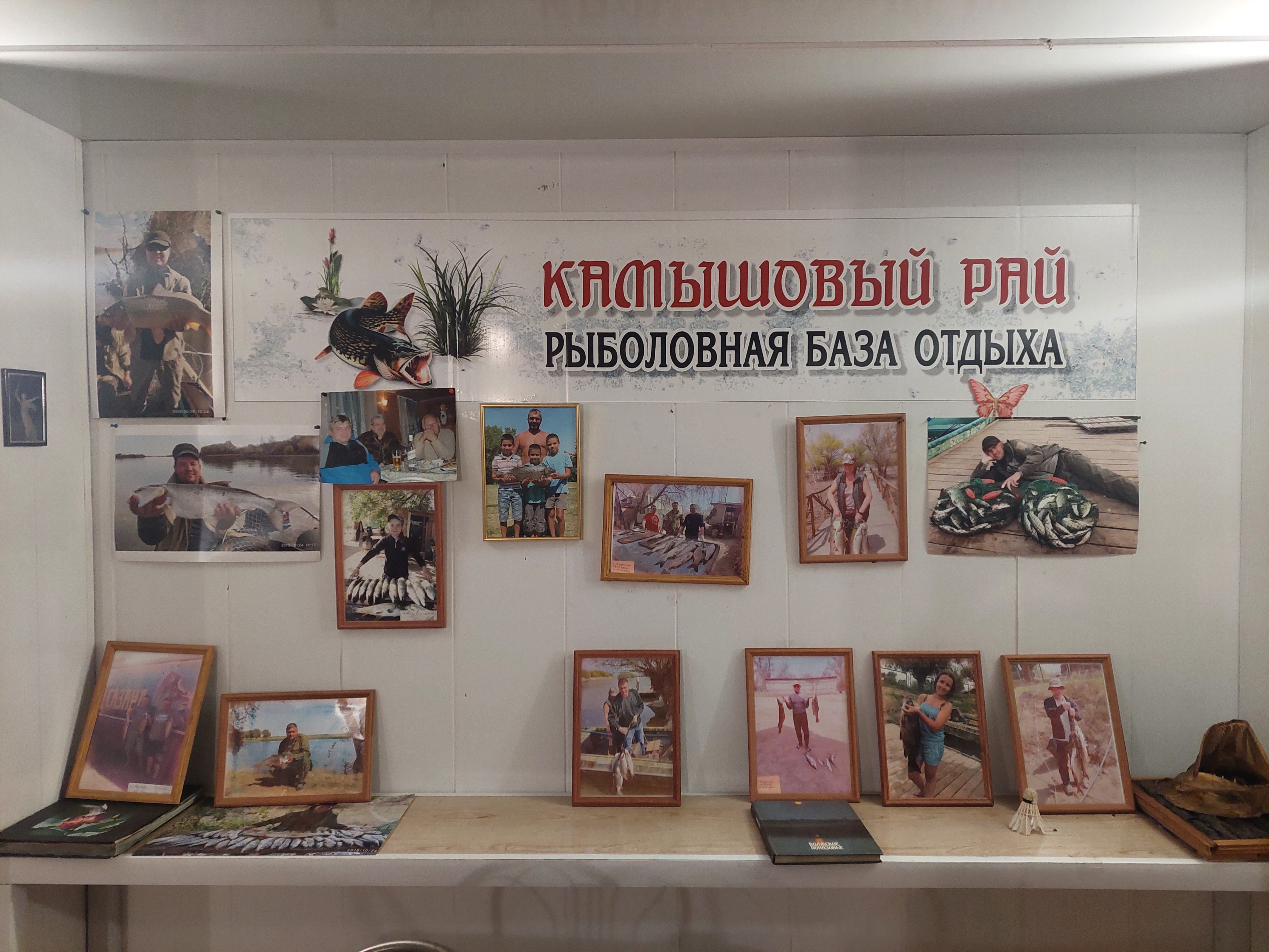 Фото Камышовый рай