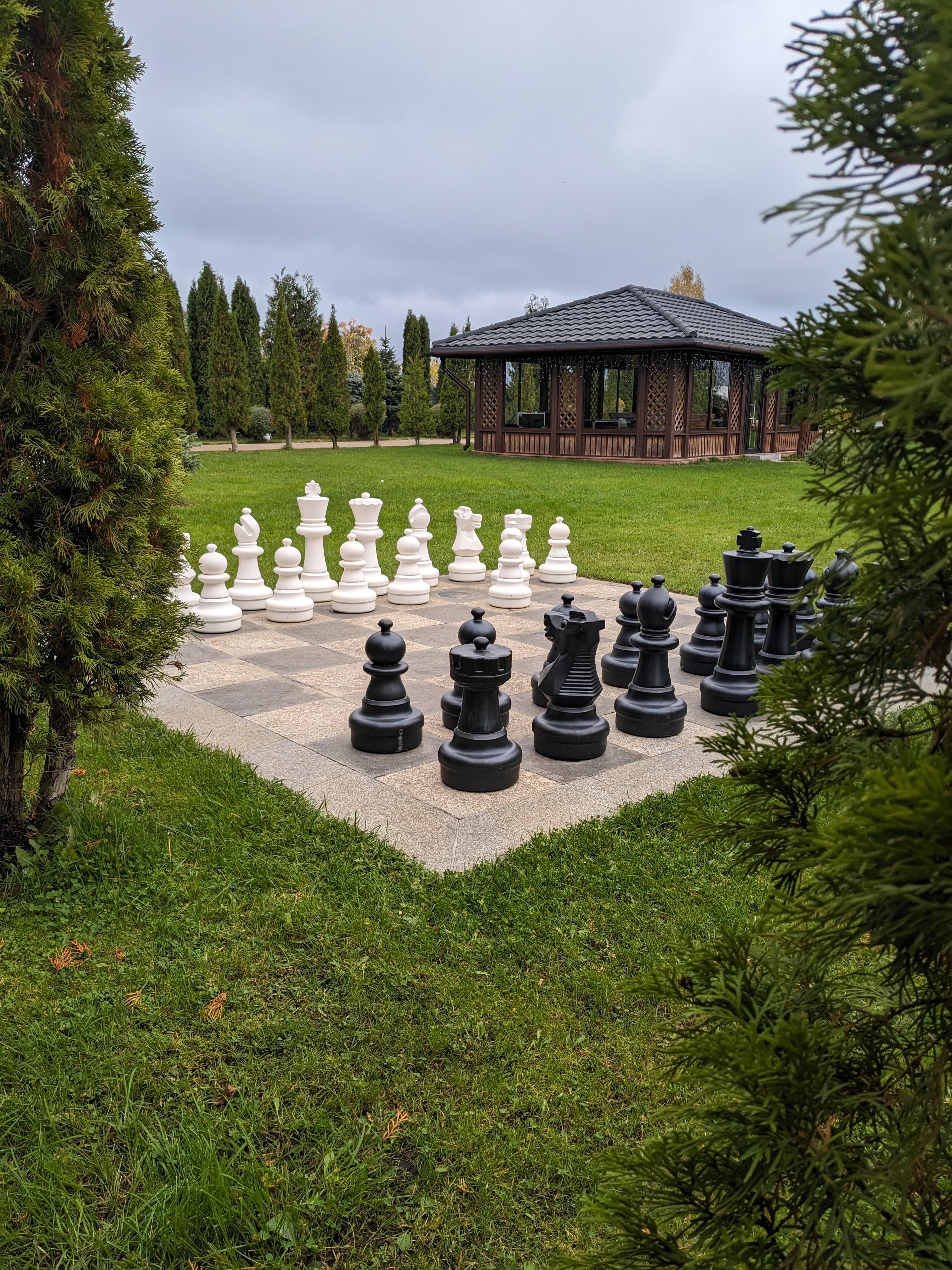 Фото Три медведя