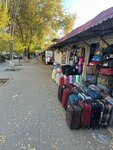 Солнцезащитные очки (Pobedy Street, 55А), bags and suitcases store