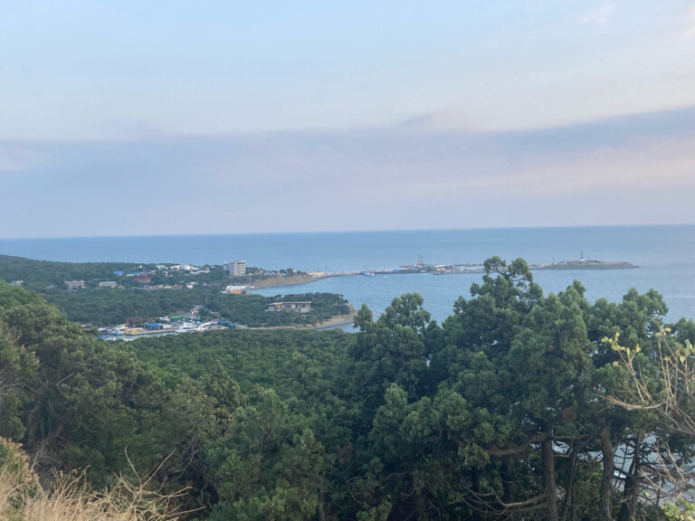 Фото Лесной дворик