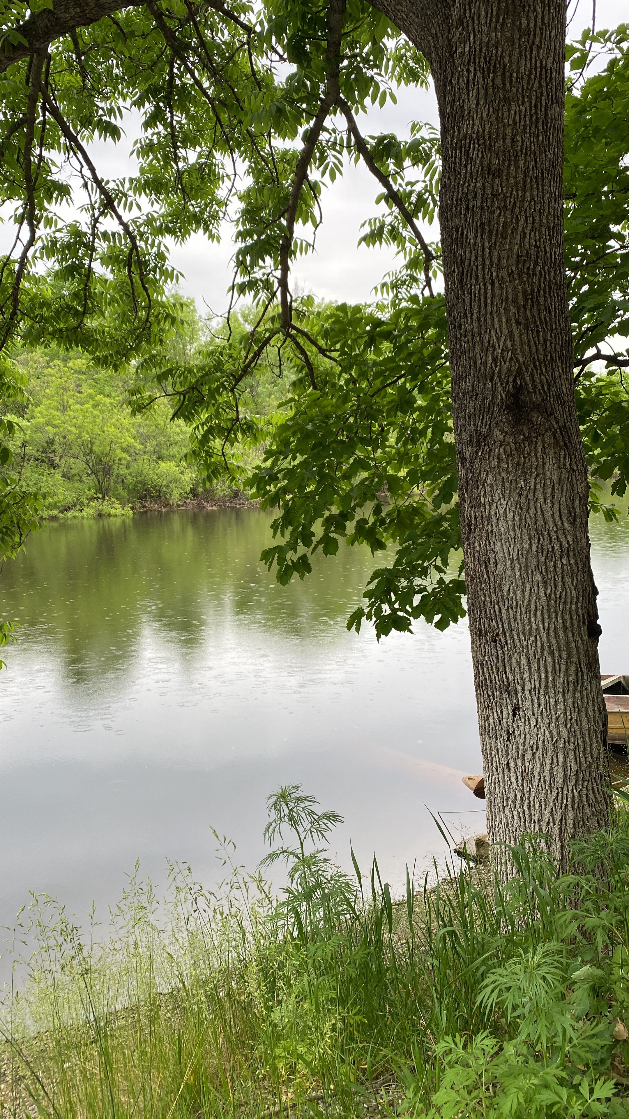 Фото Таежный берег