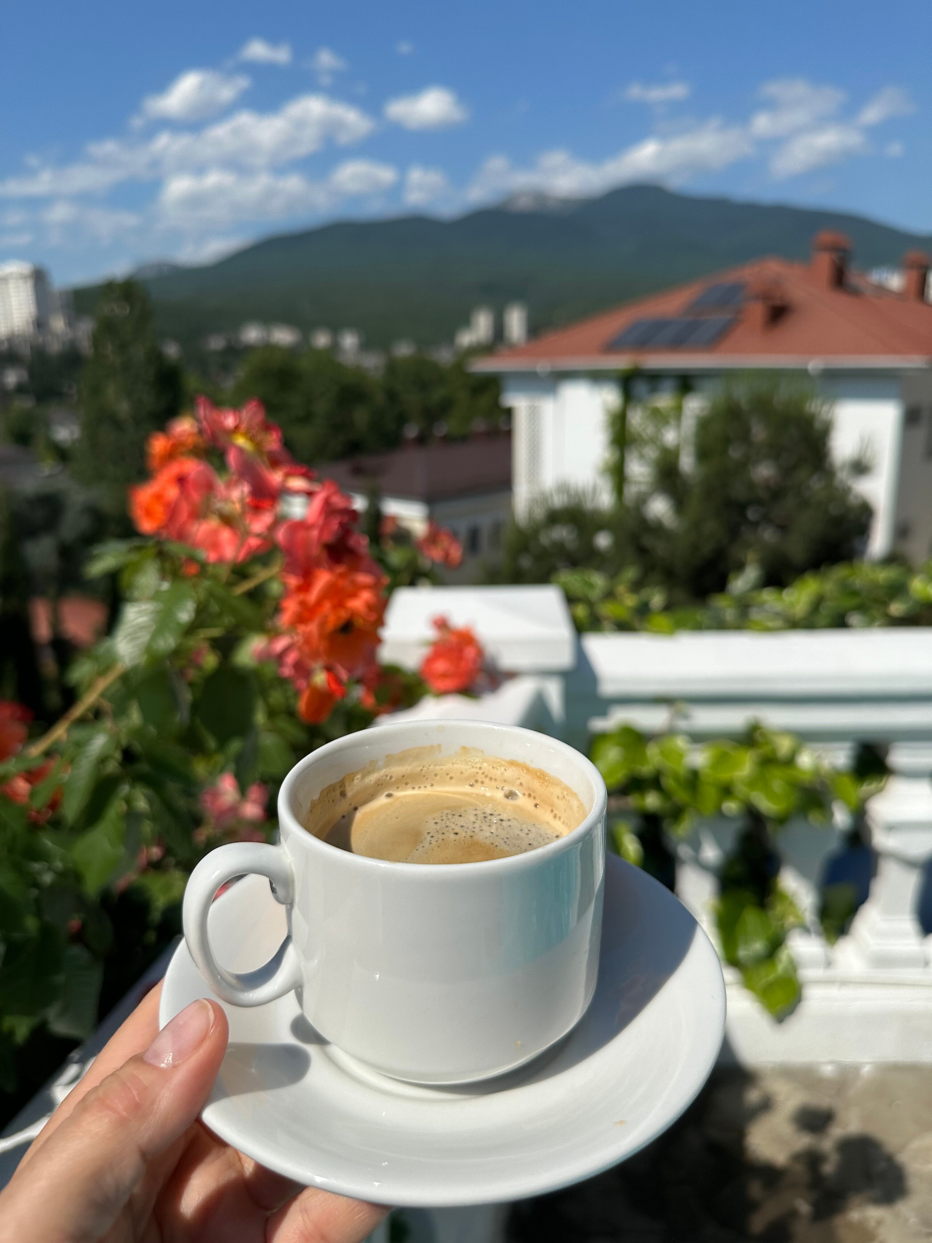 Фото Бон Мезон