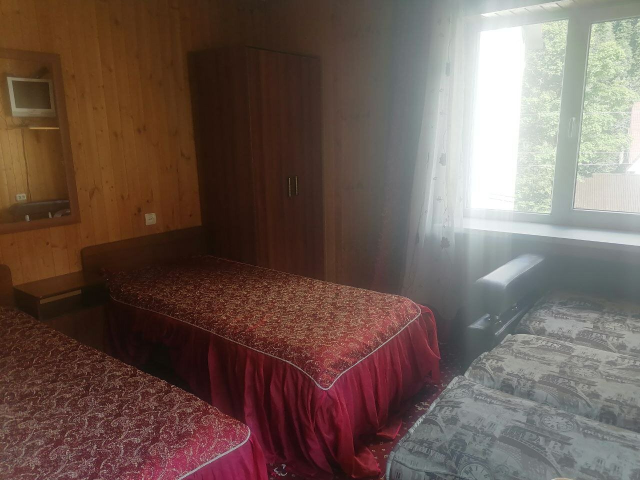 Фото Старый Клён