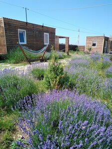 Эко-дом Лаванда