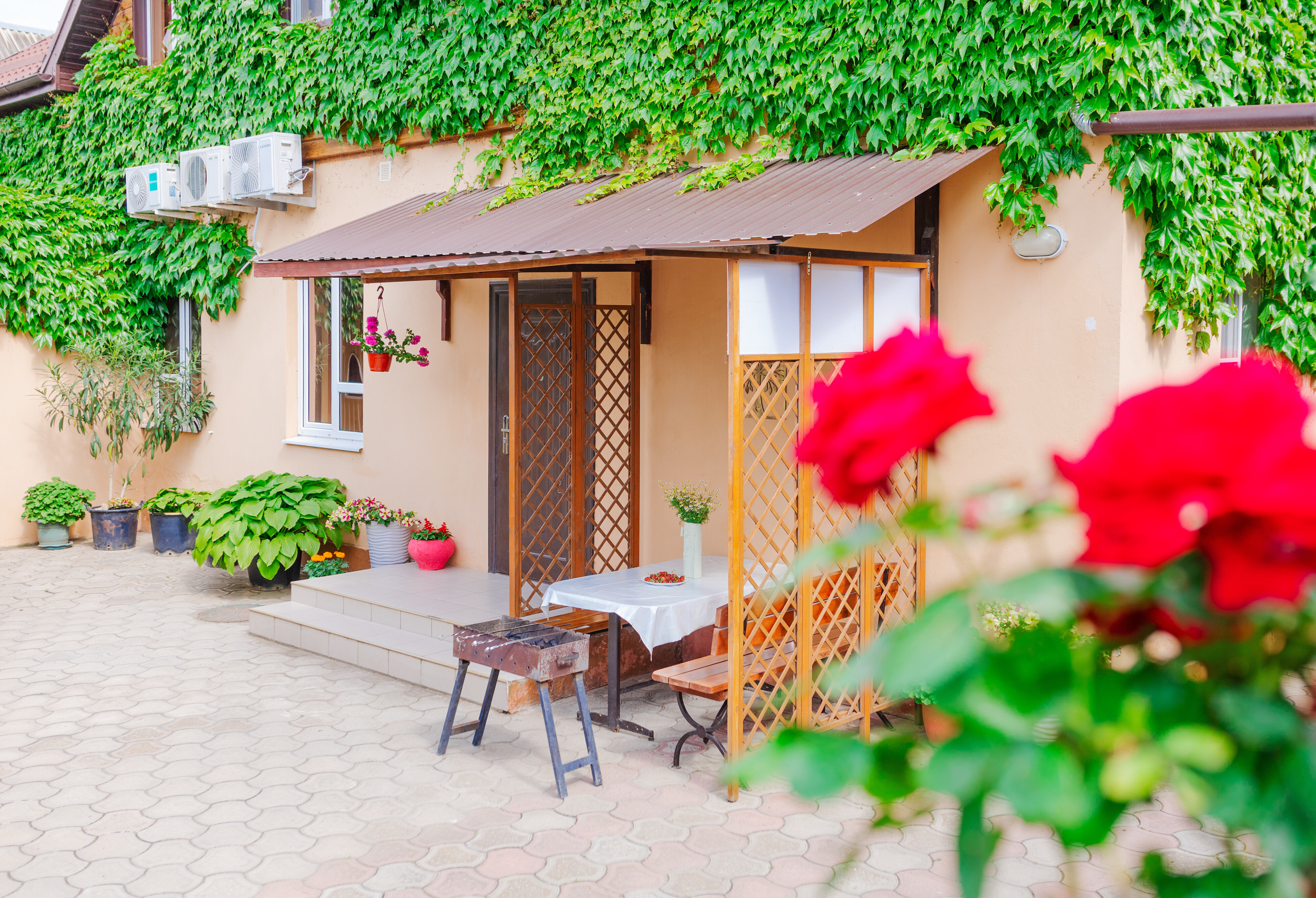 Фото Черномор