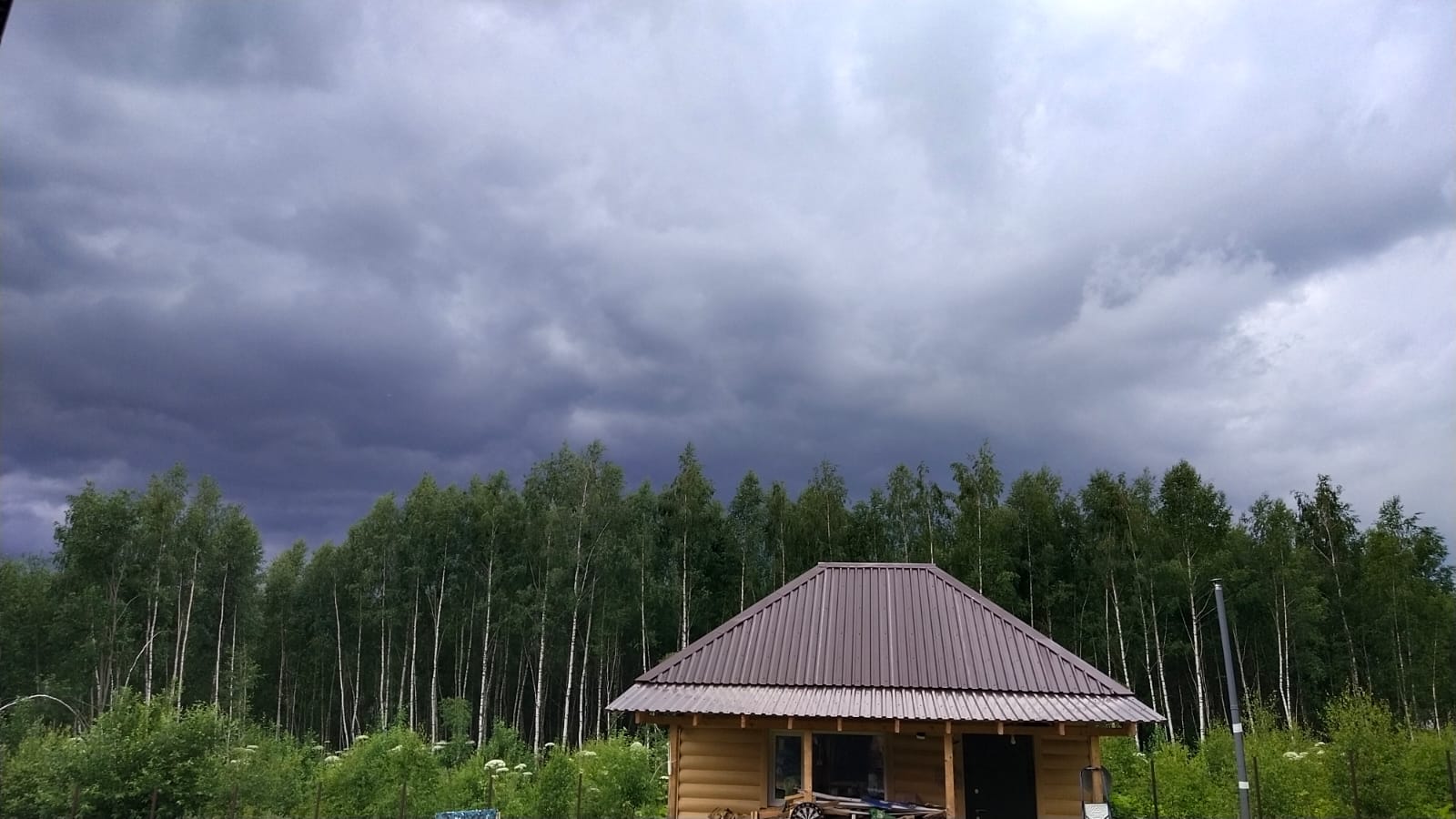 Фото Рузские Лужки