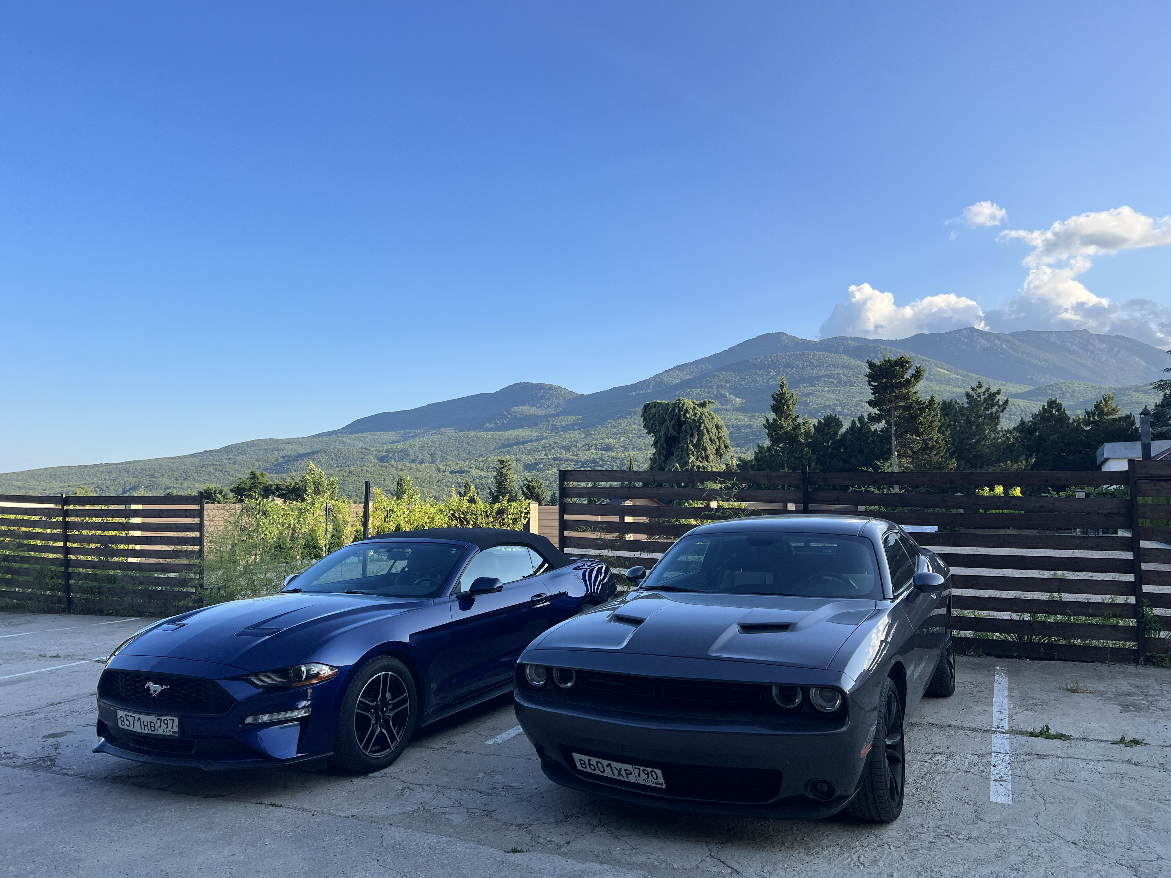 Фото Кристалл