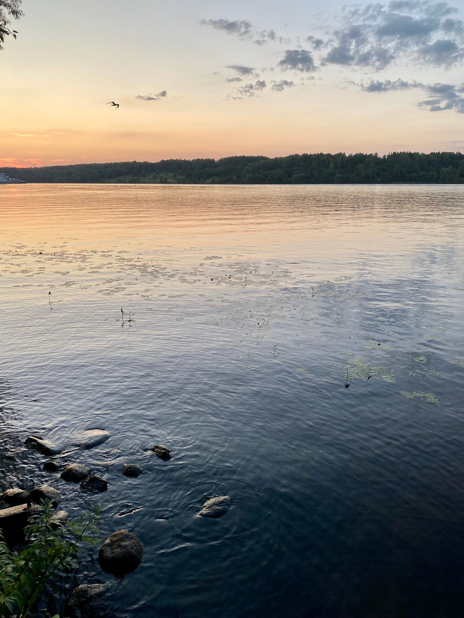 Фото Шаляпин Плес