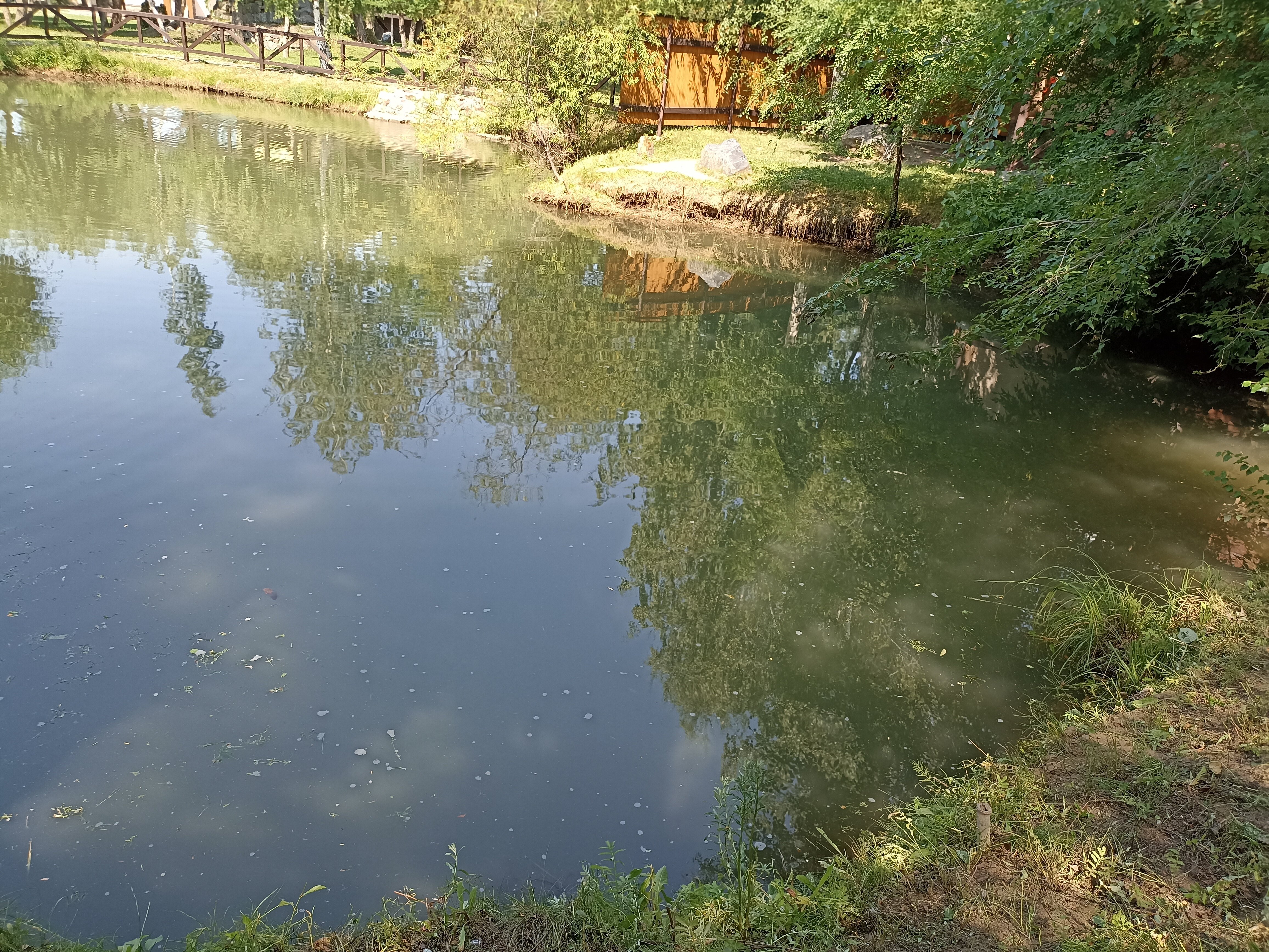 Фото Экопарк Раздолье