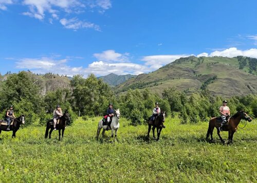 Внешний вид отеля Алтай-Вояж в Чемале, фото 2