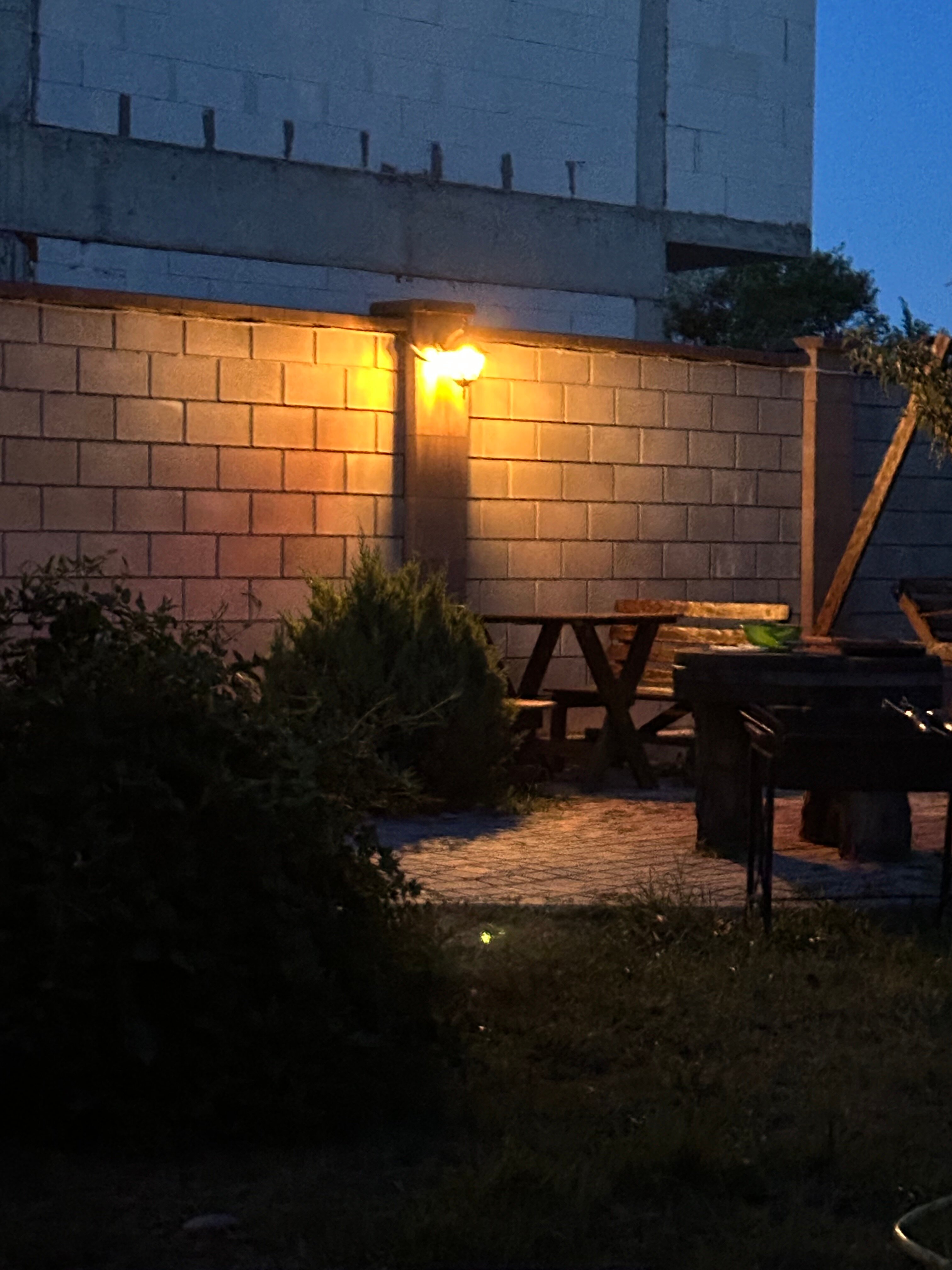 Фото Фламинго