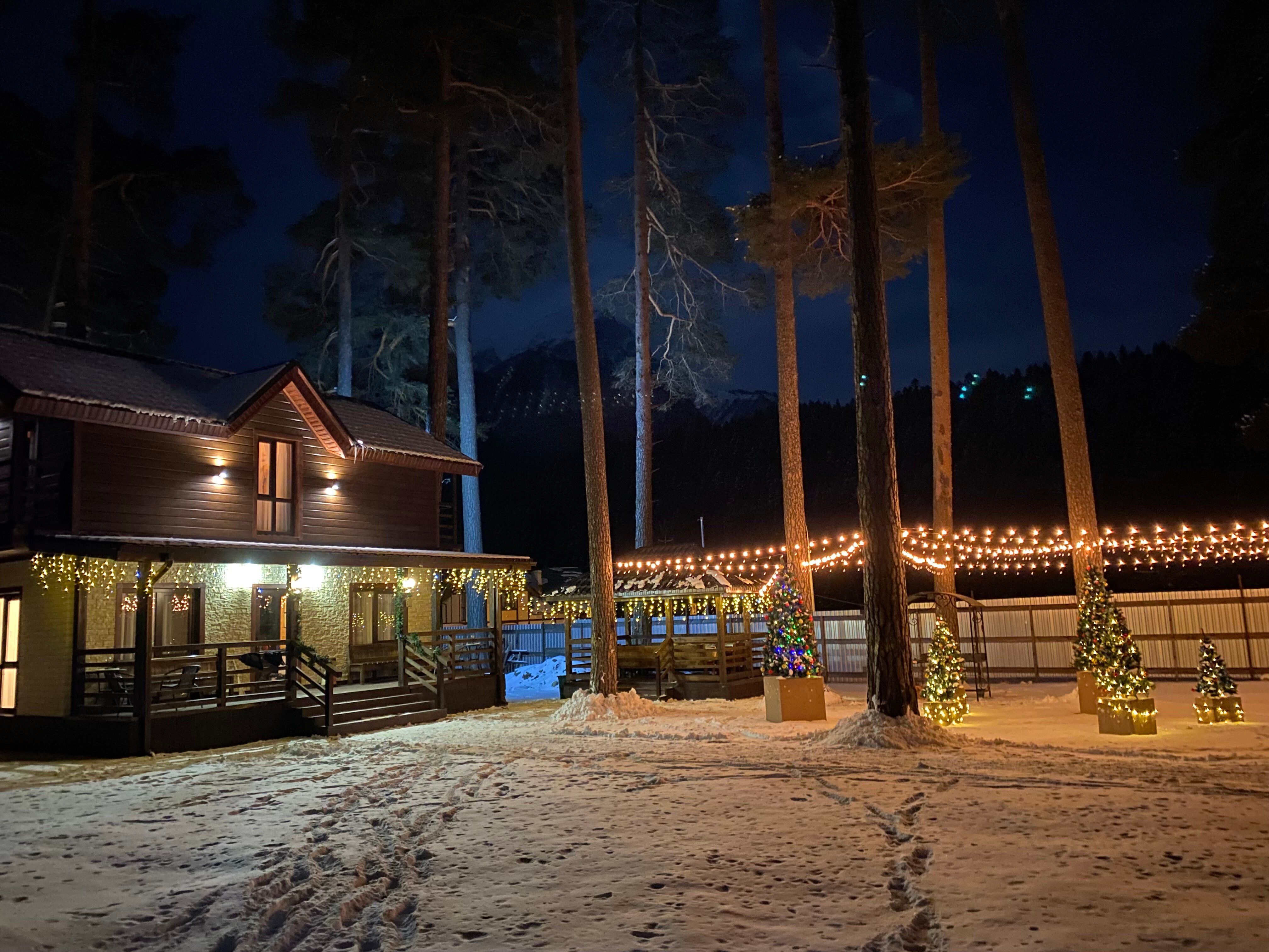 Фото Сосновый бор