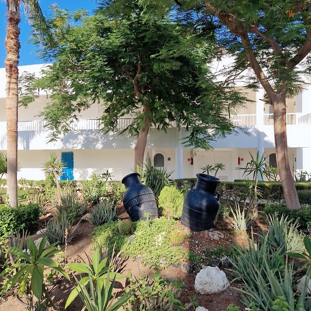 Фото Monte Carlo Sharm Resort & SPA