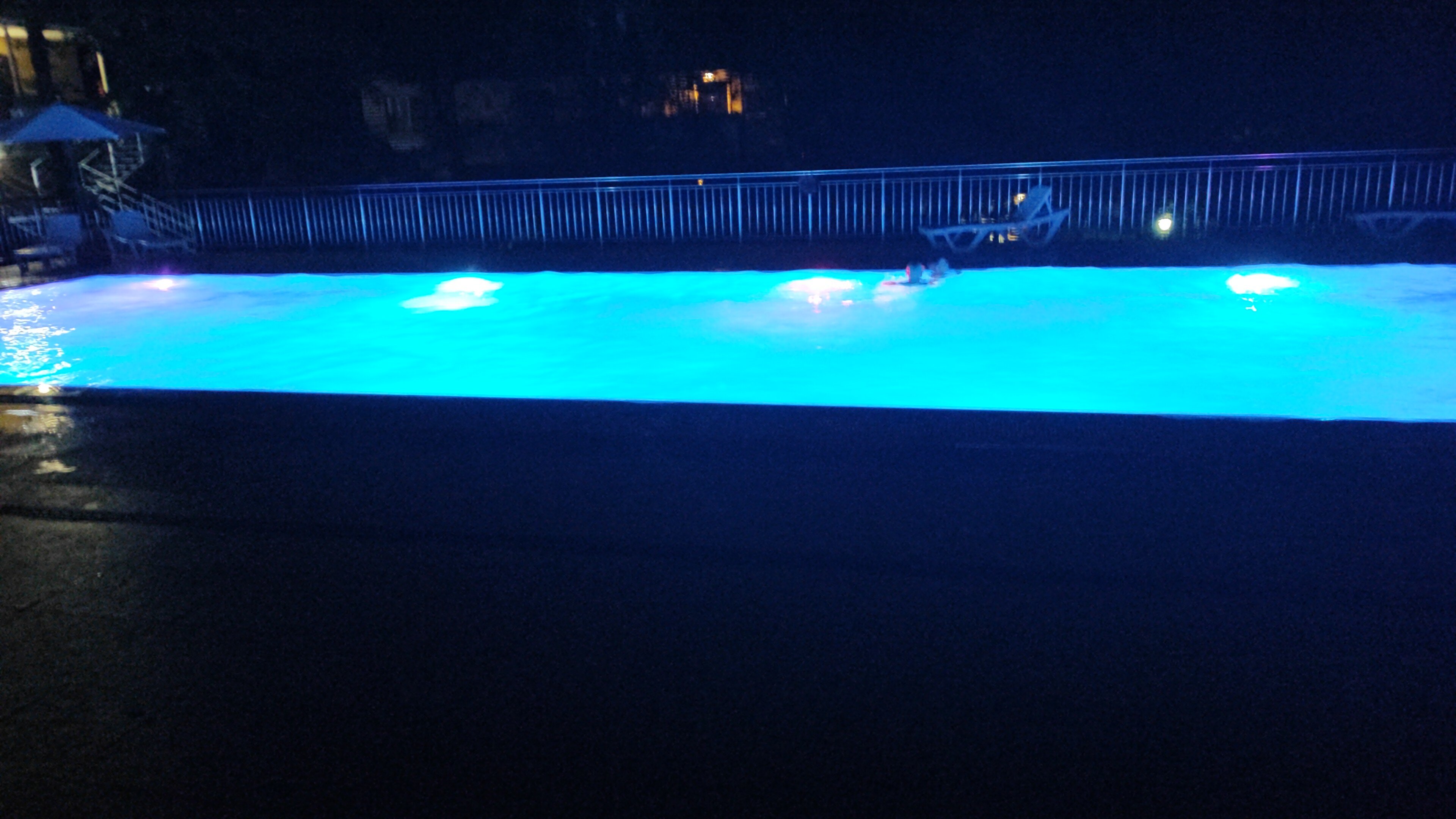 Фото Примула