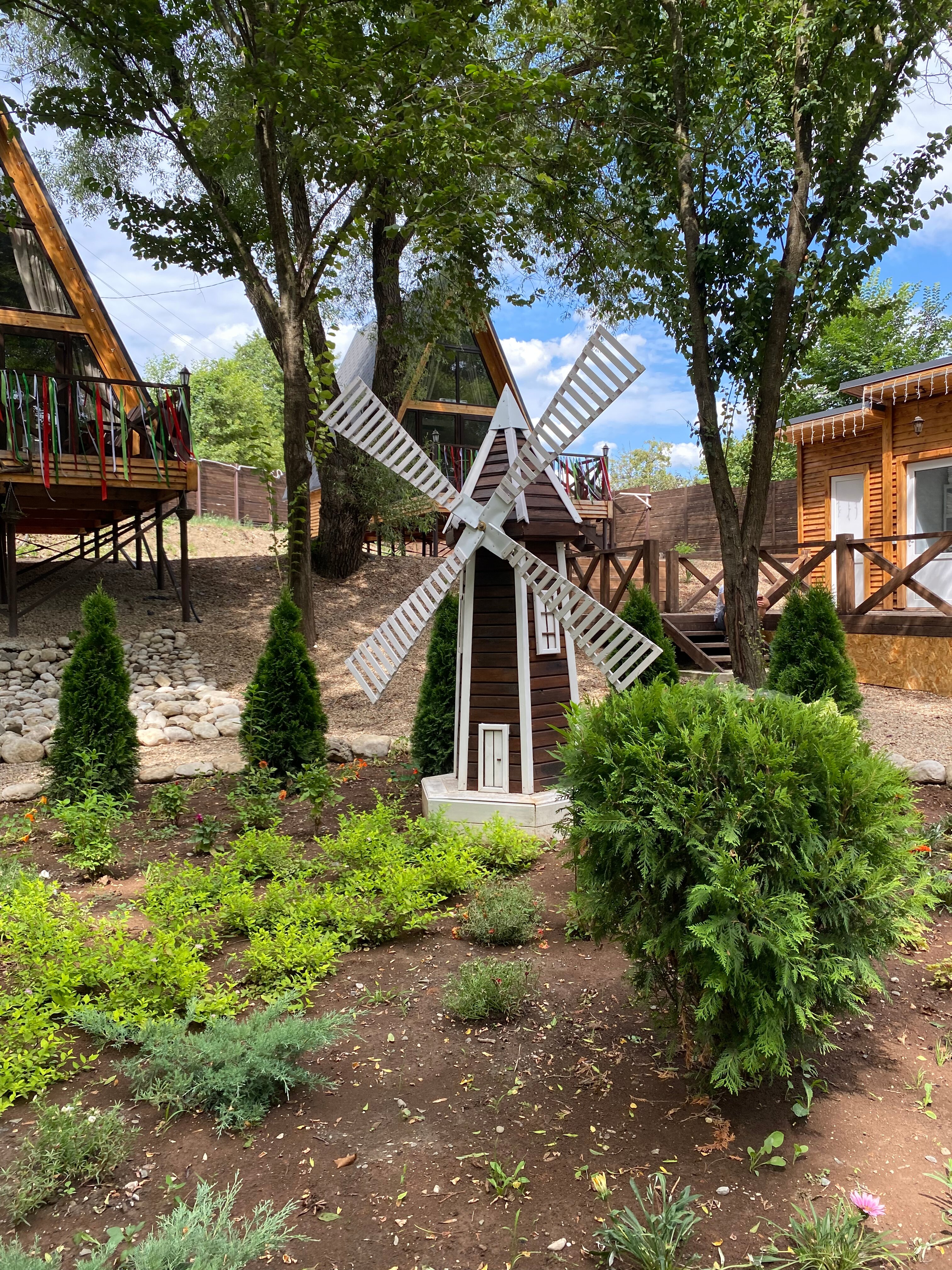 Фото Богатый лес