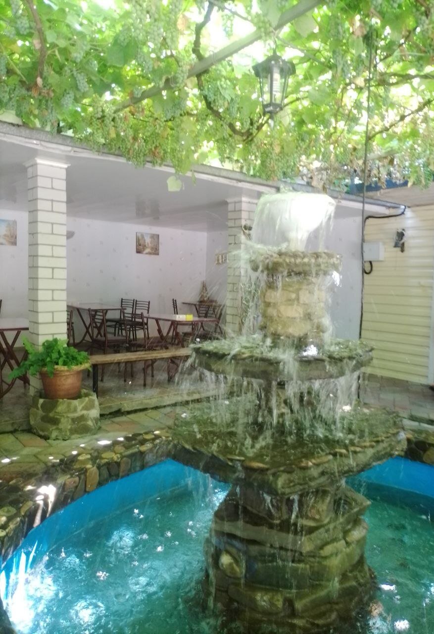 Фото Черноморская лоза