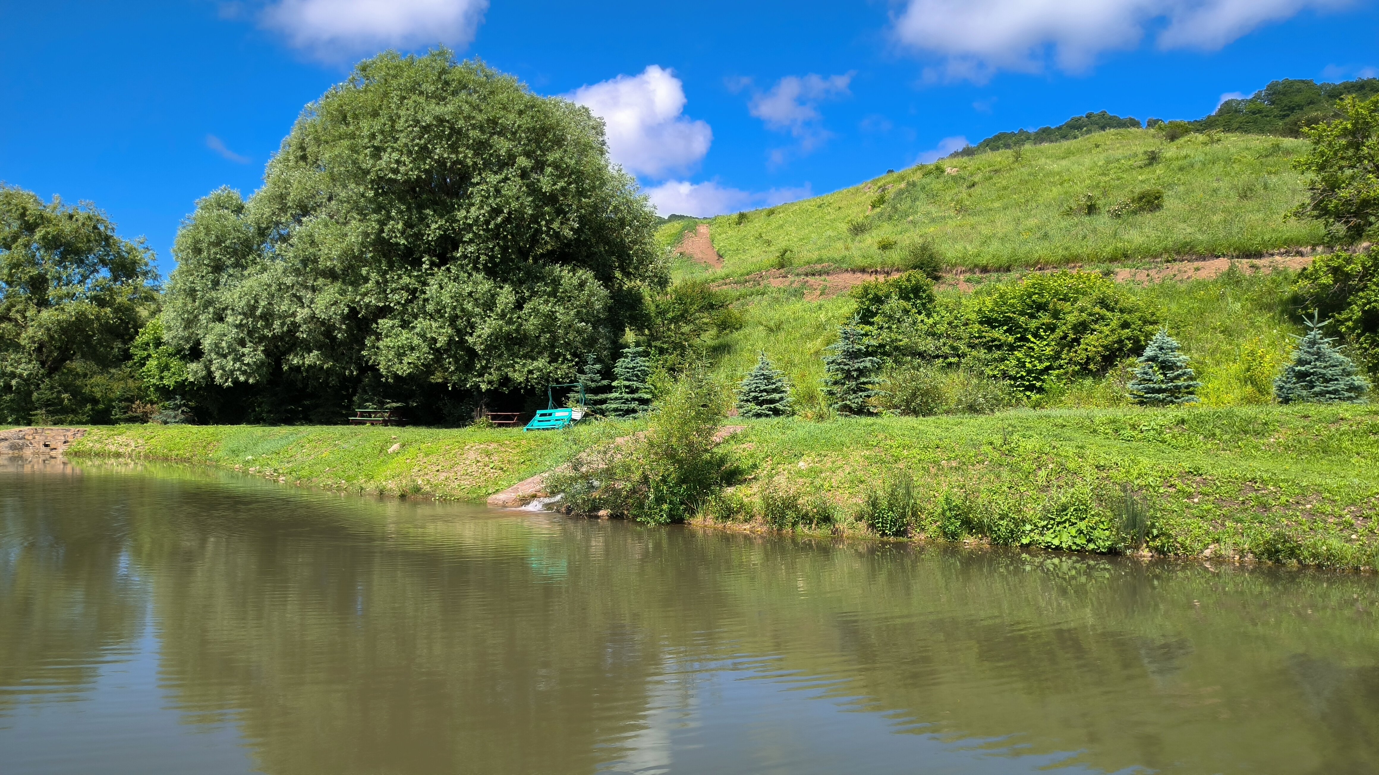Фото Четыре сезона