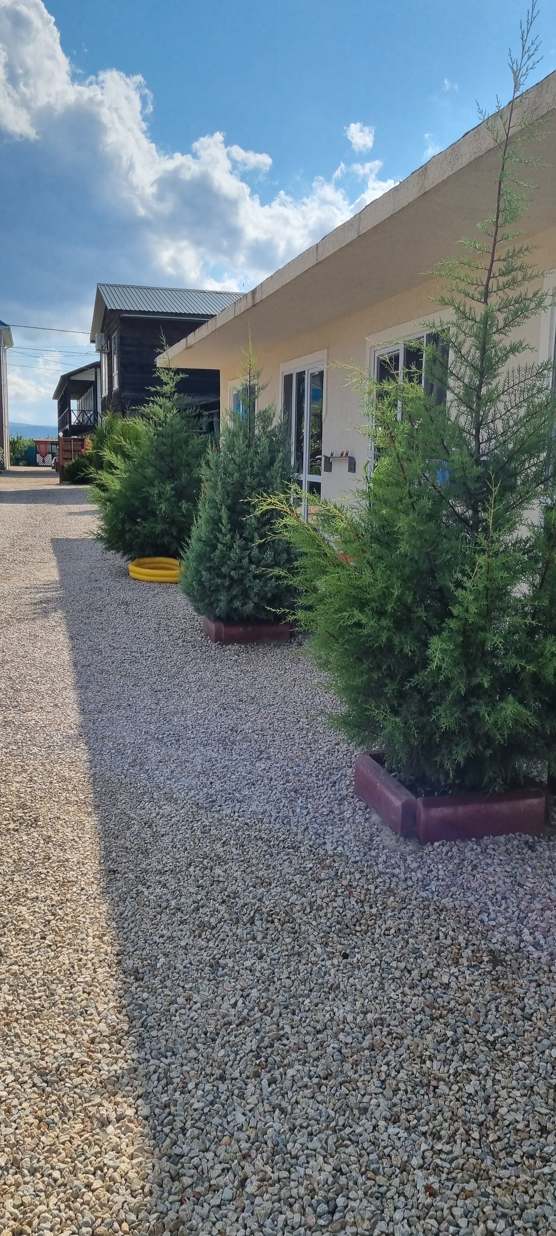 Фото Хороший гость