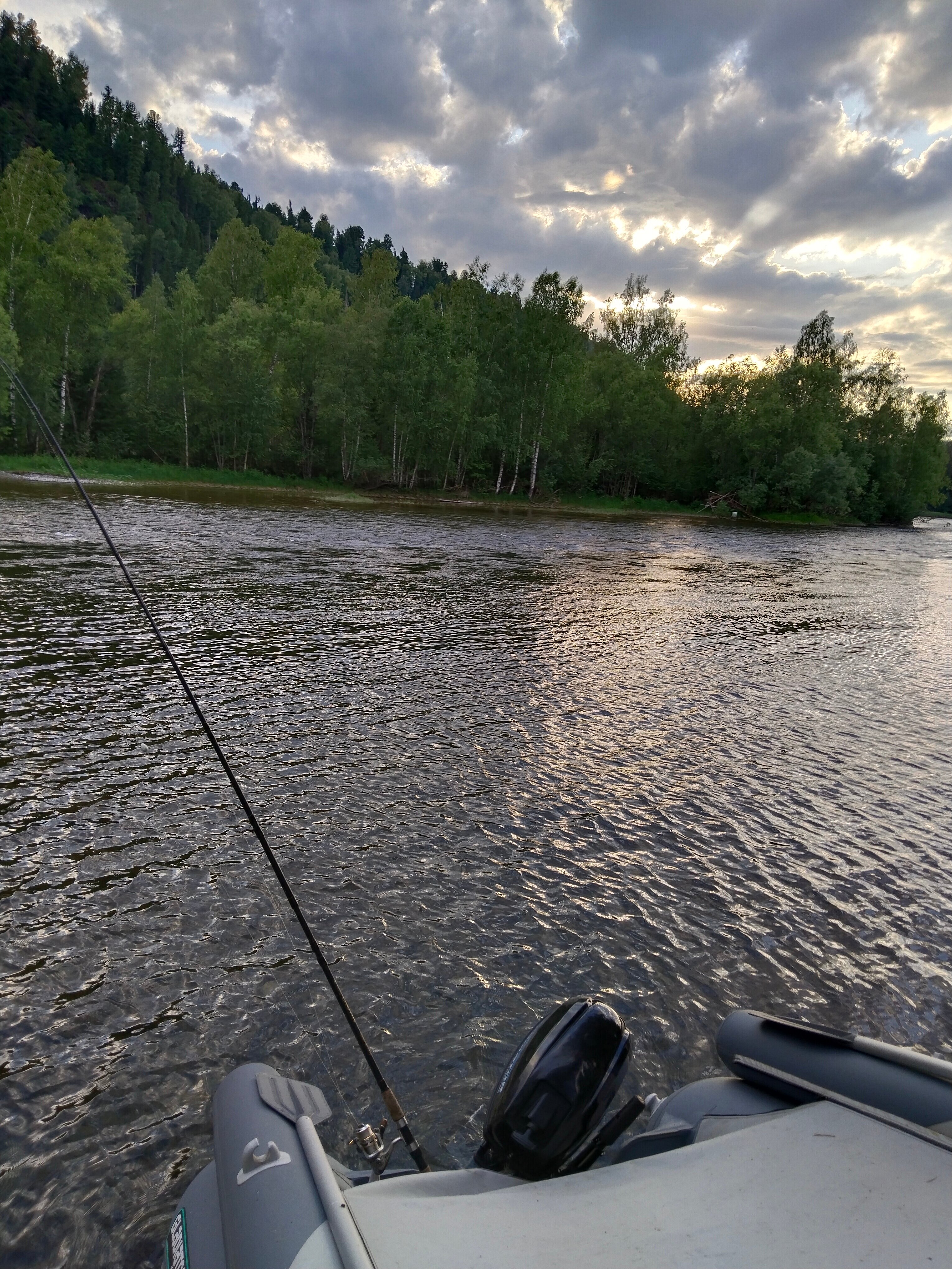 Фото Солнечная