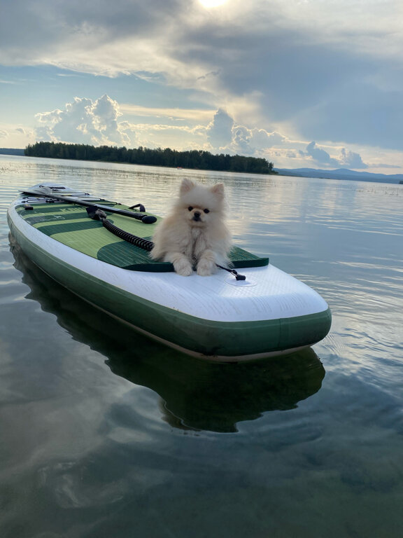 Фото Светлячок