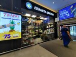 Планета цветов (Pieramozhcaw Avenue, 9), flower shop