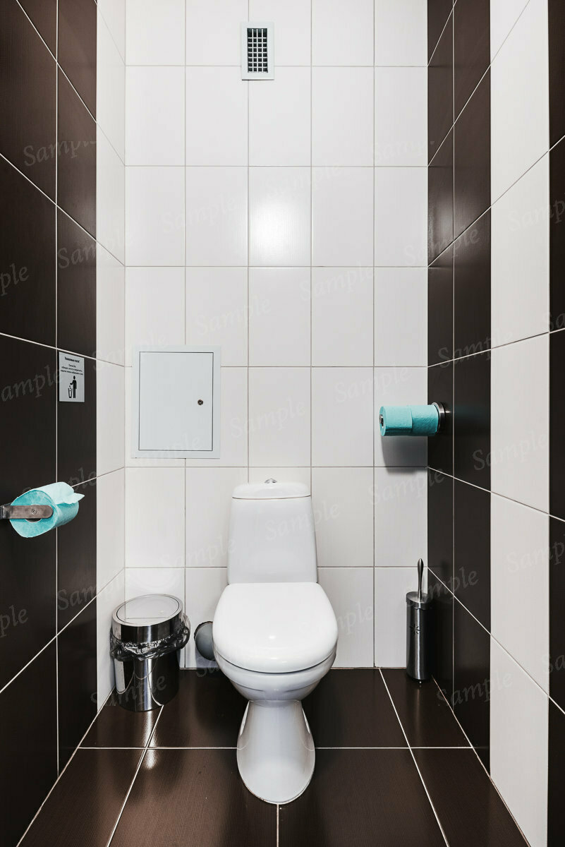 Фото Подсолнух