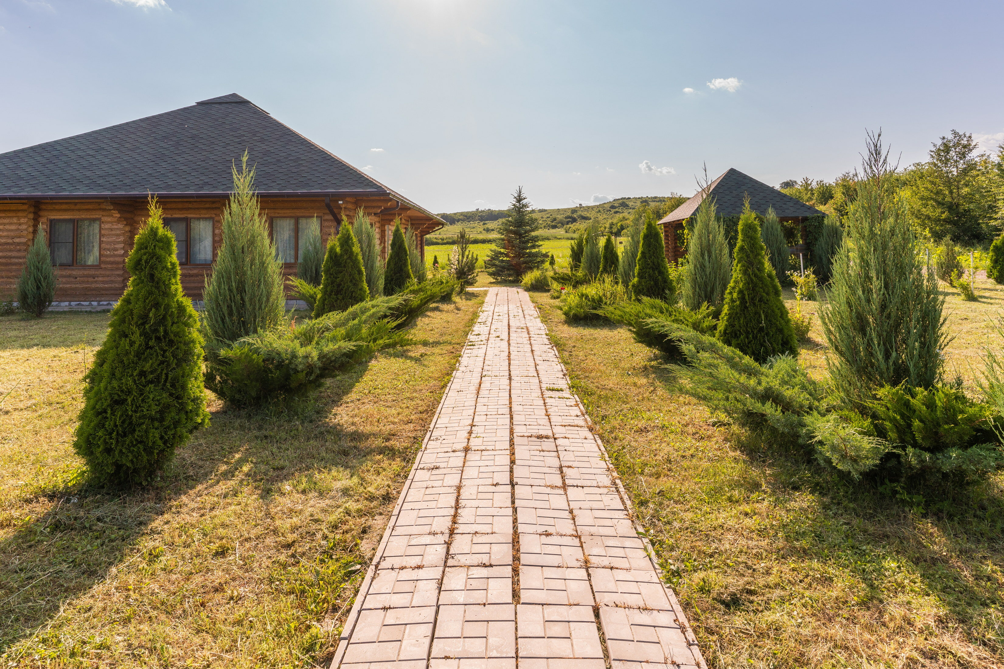 Фото Зеленые холмы