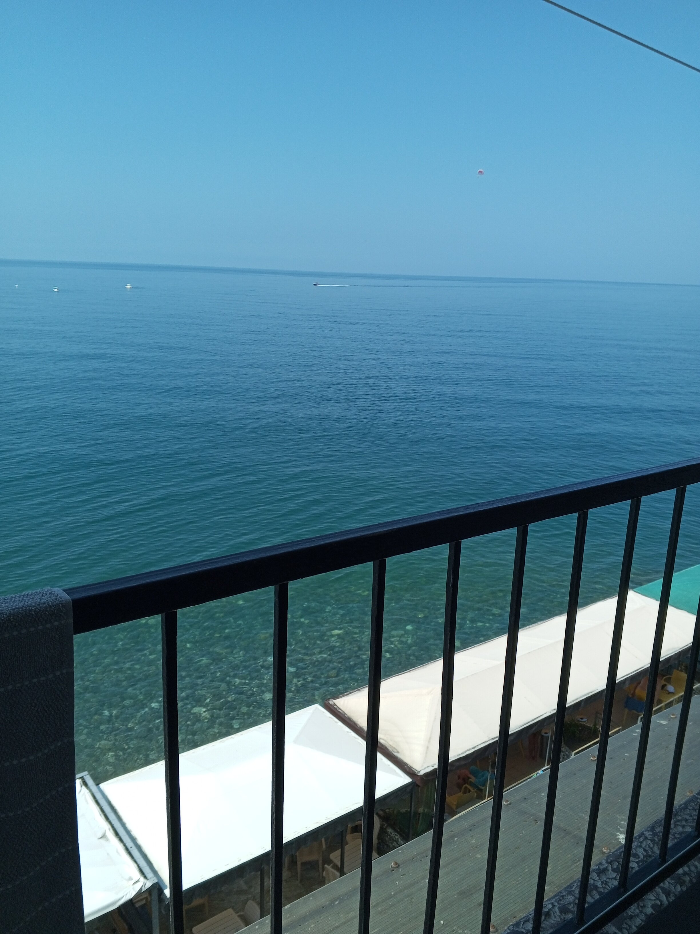 Фото Эллинг 6