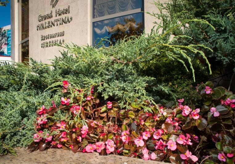 Фото Гранд отель Валентина
