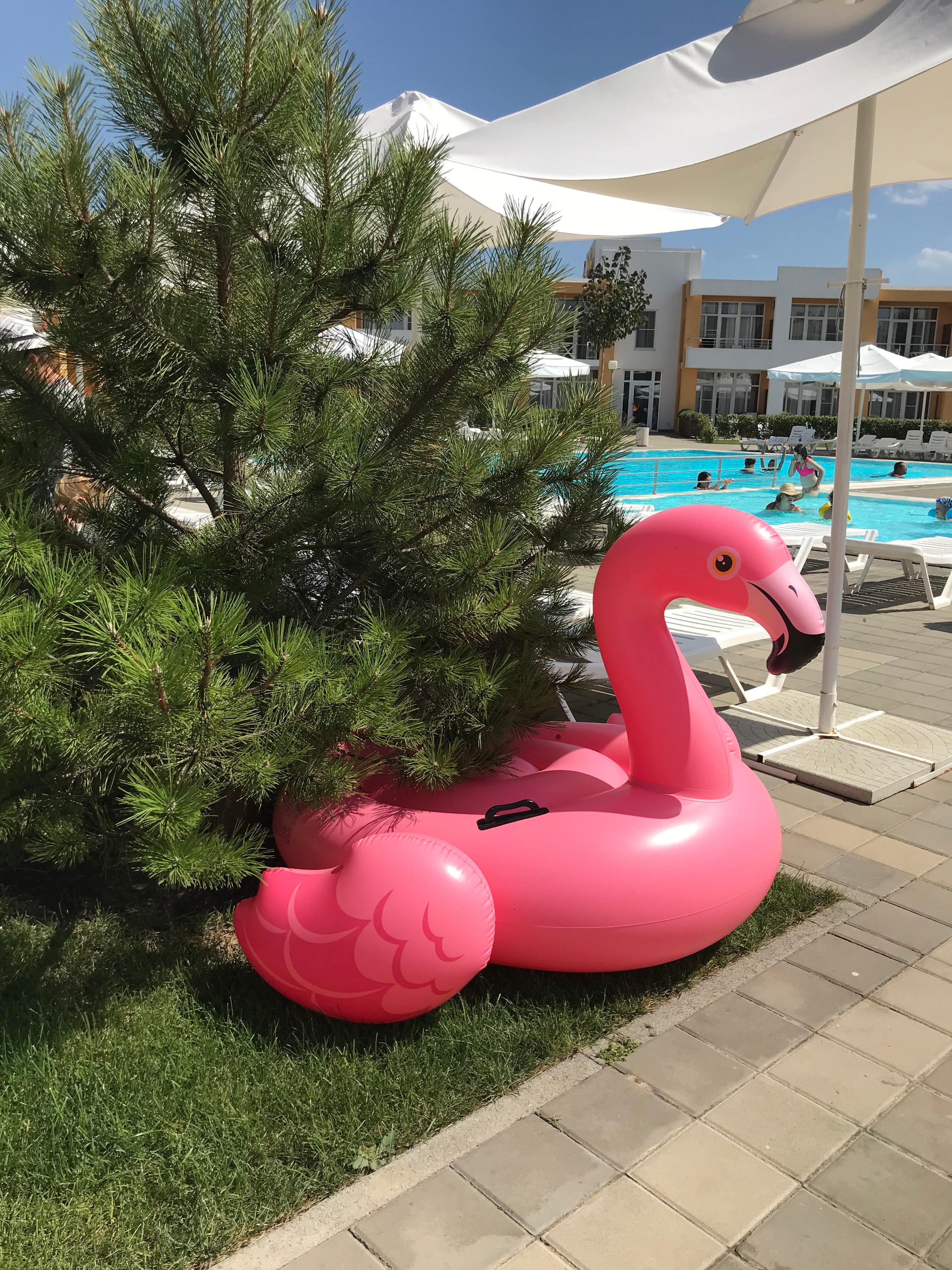 Фото Лето·отель