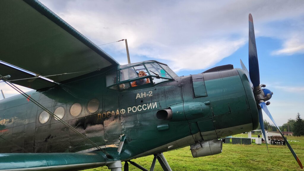 Аэродром Аэродром Волосово, Москва и Московская область, фото