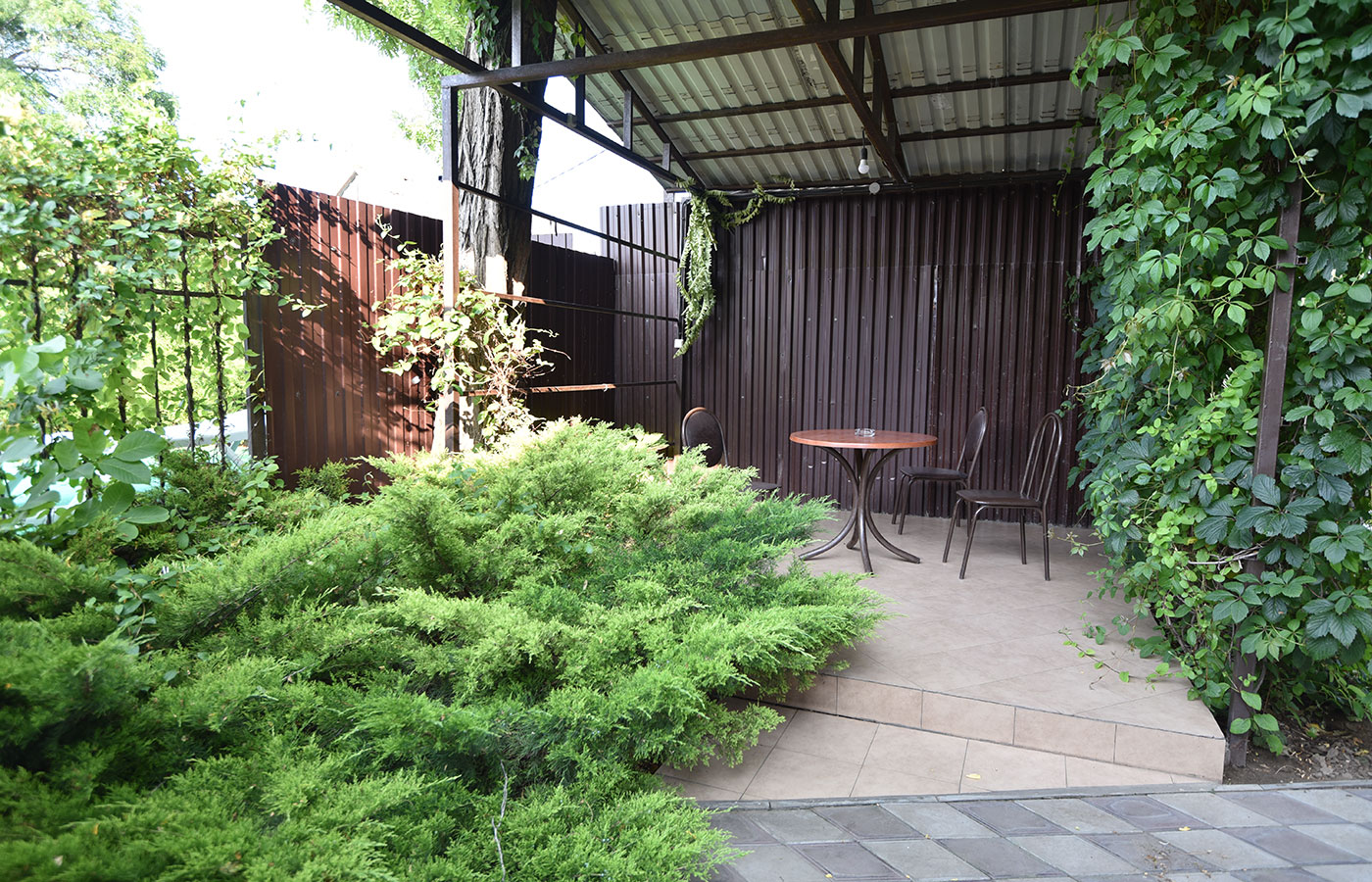 Фото Фортуна