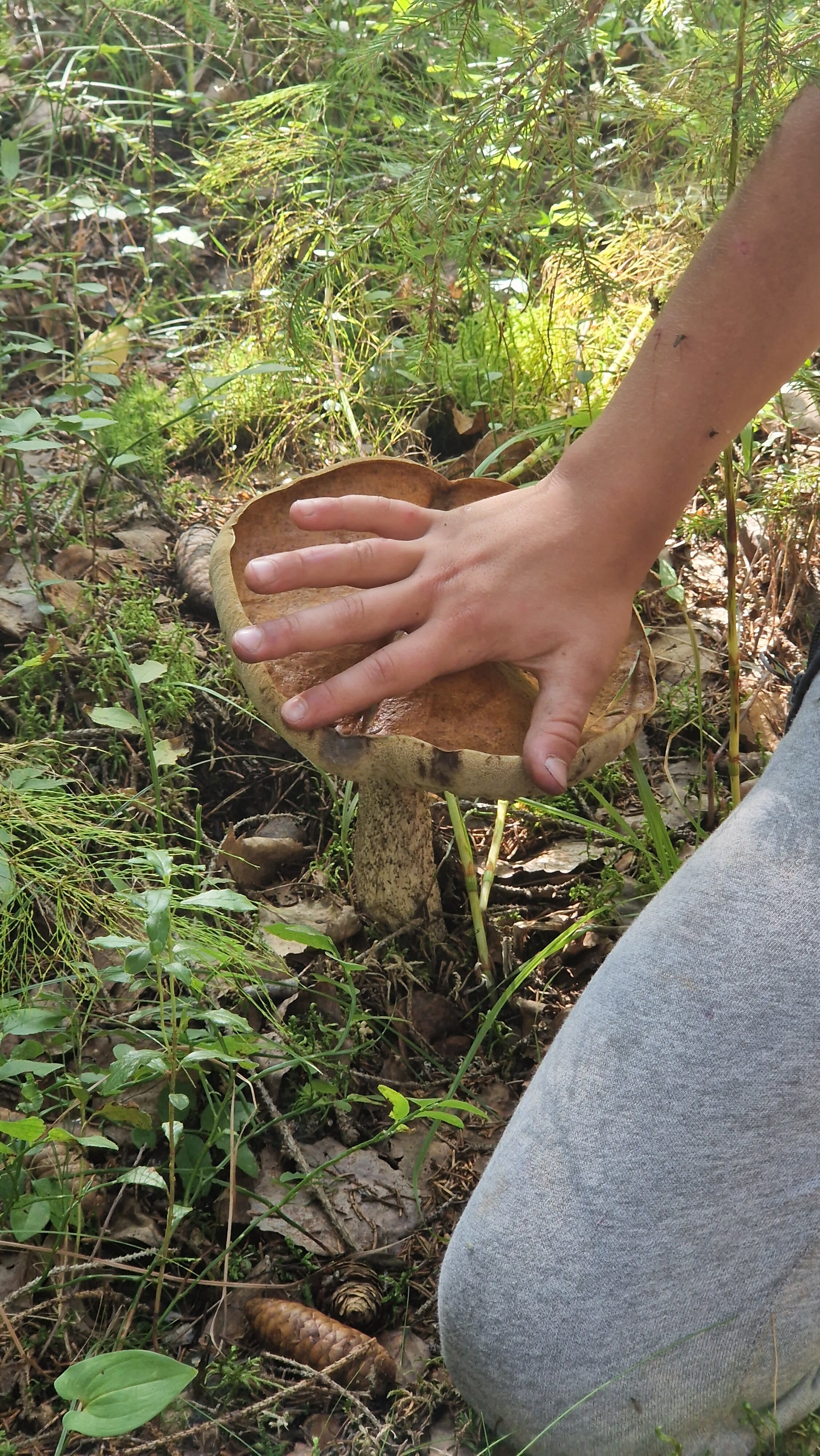 Фото Жемчужина Заонежья