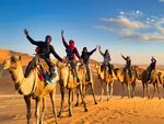 Desert Tours (32, Al Marakib Street, E1, Abu Dhabi), travel agency