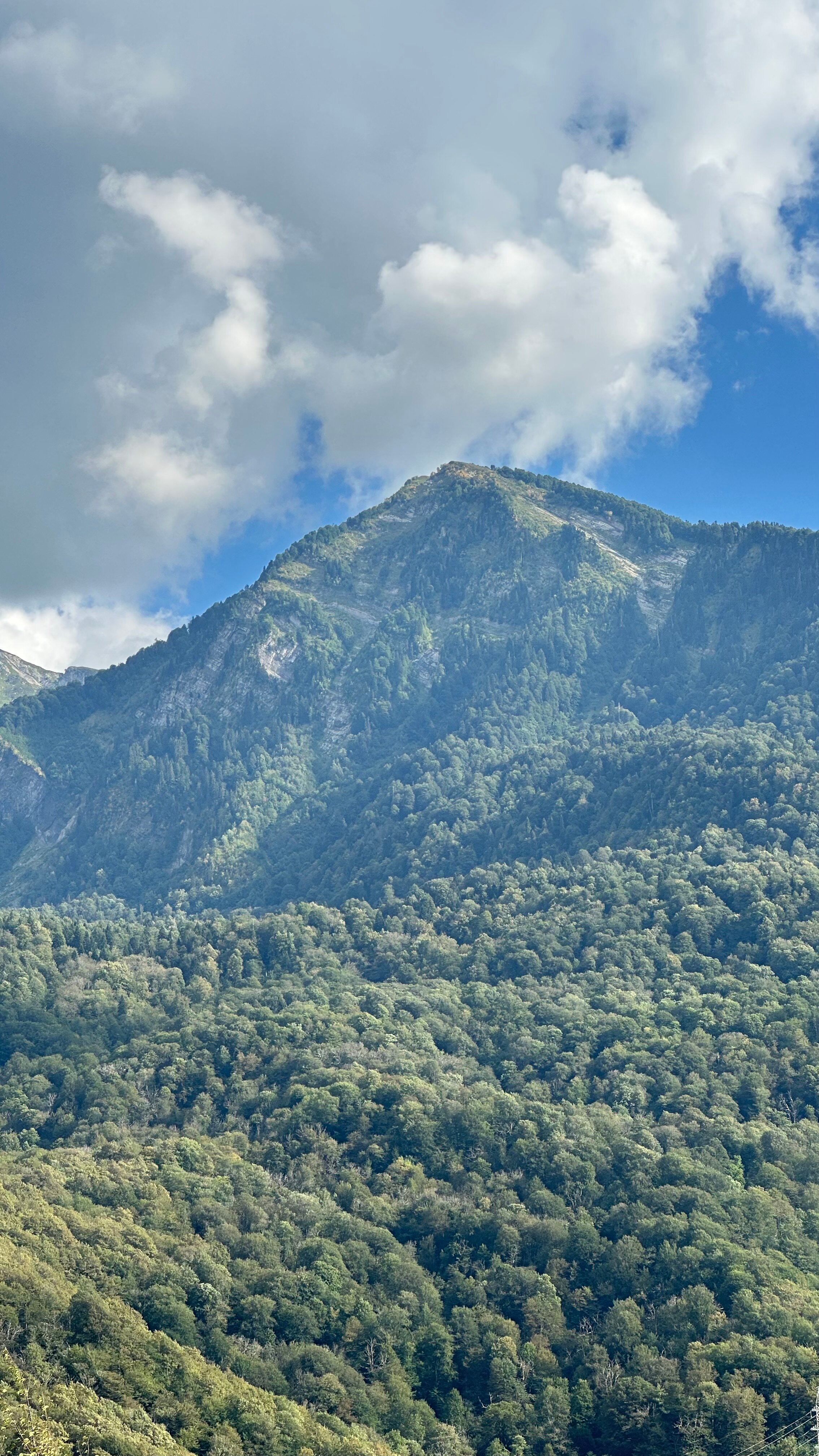 Фото Hills Polyana Hotel & SPA