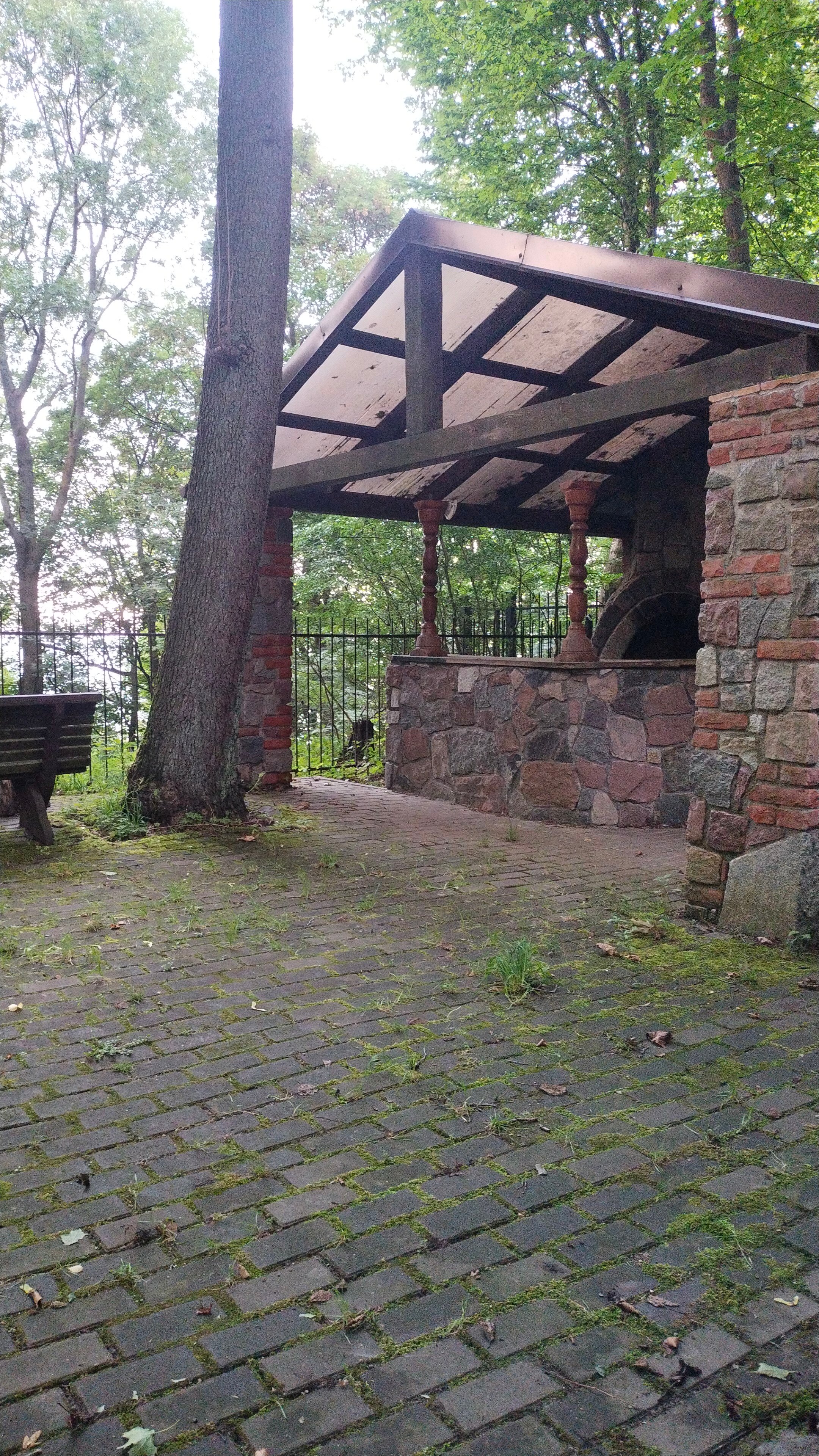 Фото Высокий берег