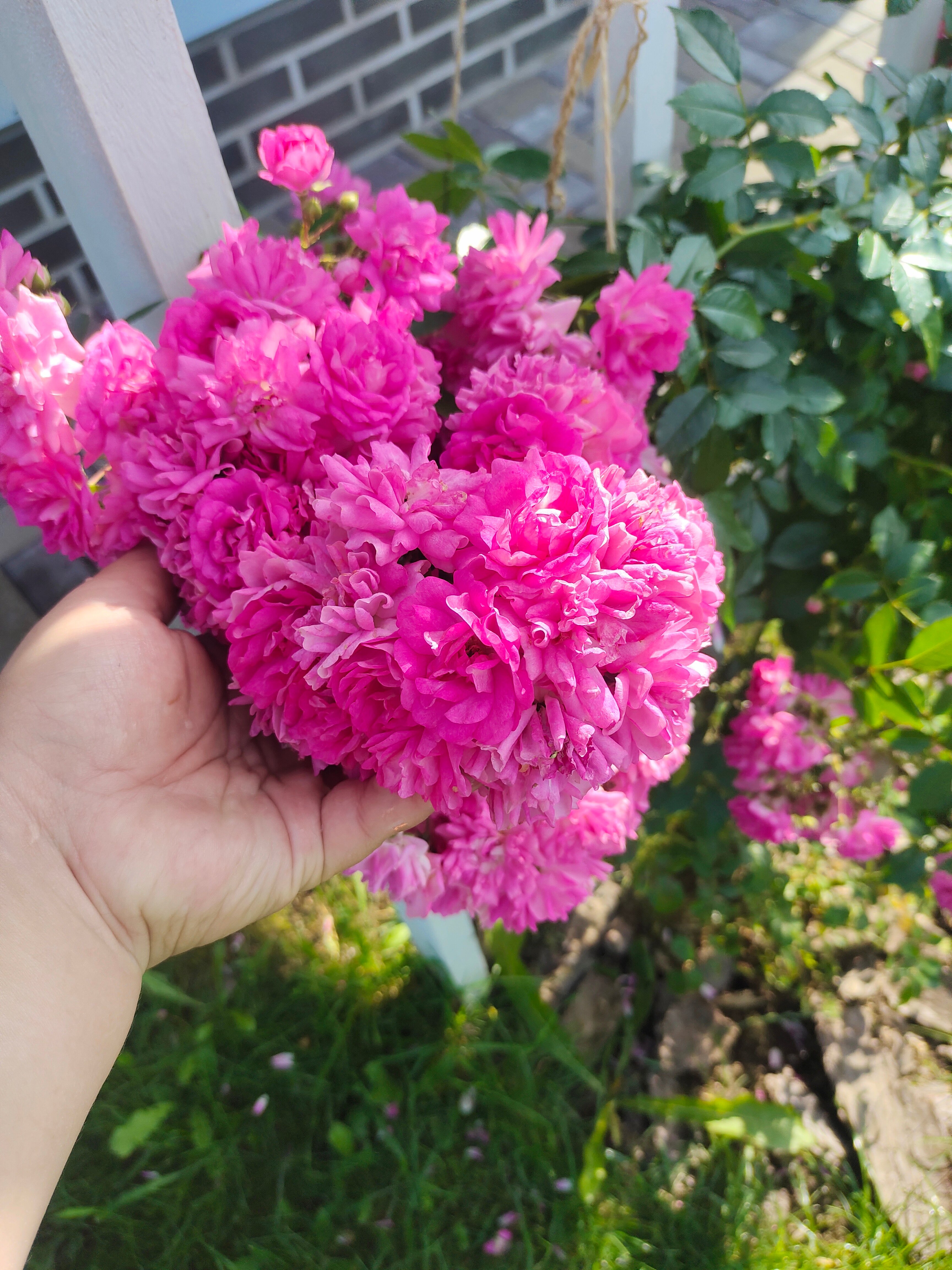 Фото Уютный Домик