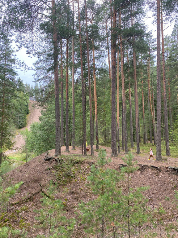 Пухтолова Гора — фото 15