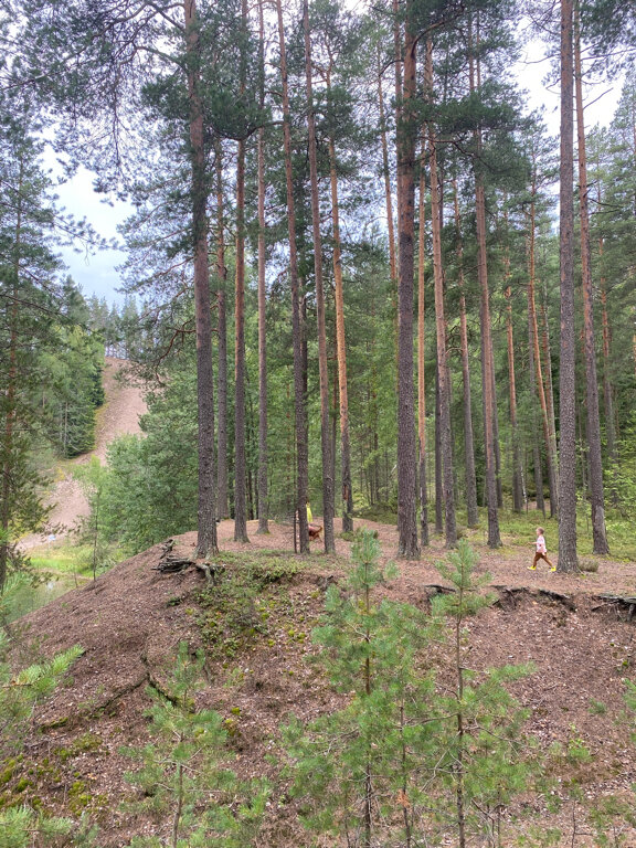 Фото Пухтолова Гора