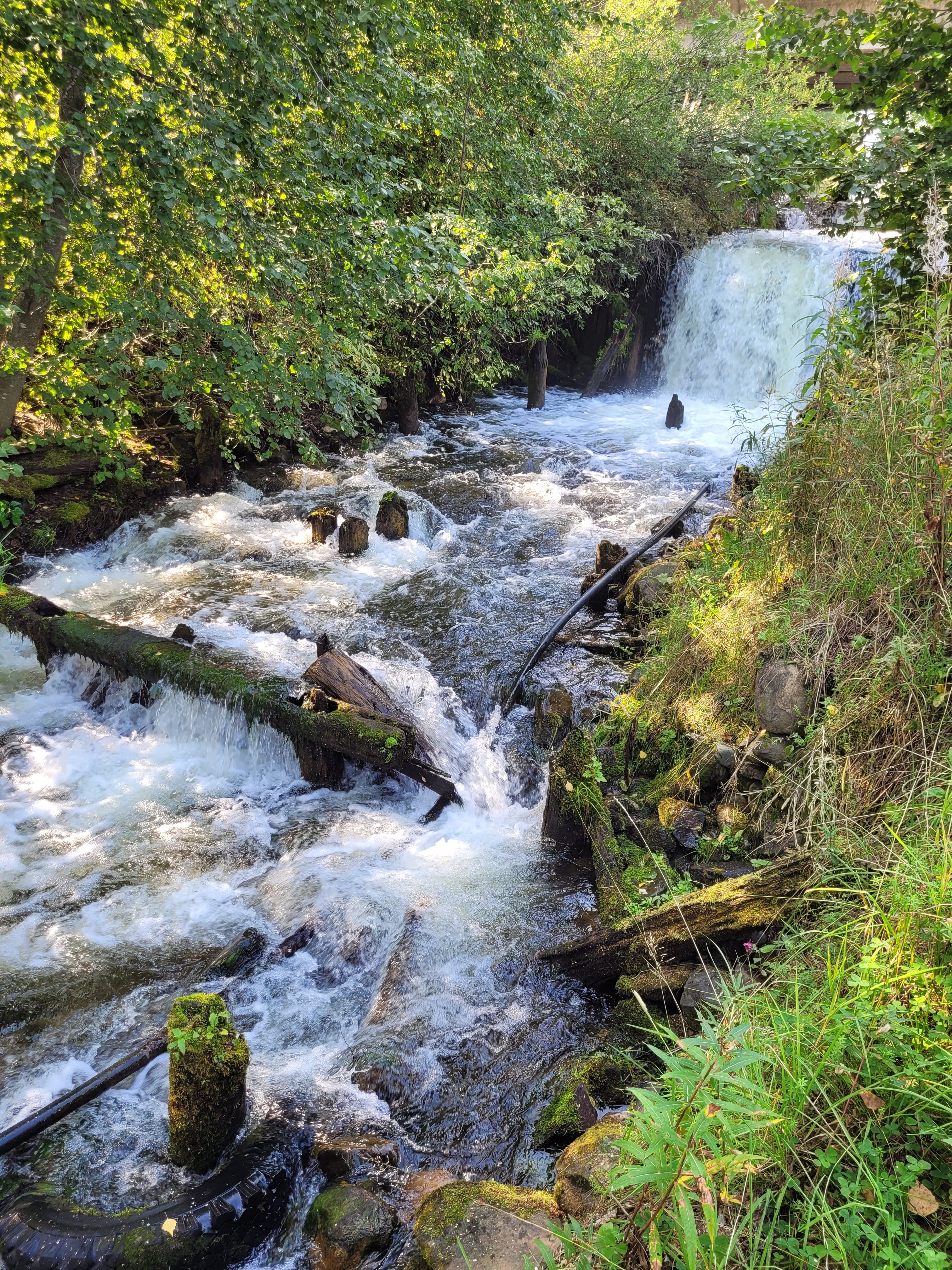Фото Зайкина дача