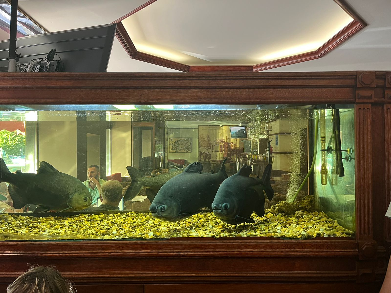 Фото Гостиница Выборг