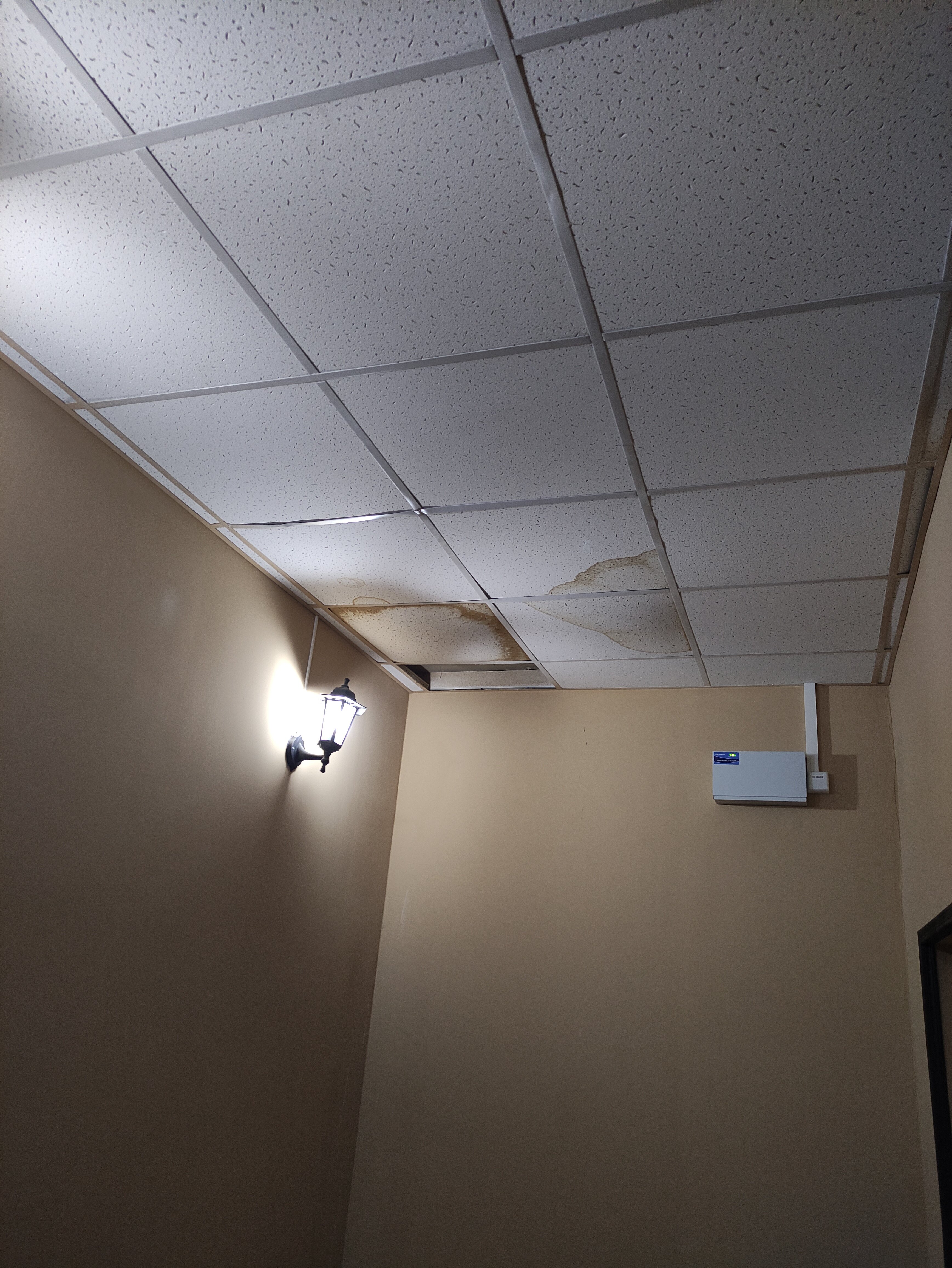 Фото Сюрприз на Яблочкова 31Ж 