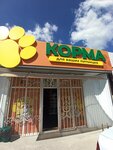 Food for your pets (село Чистенькое, Севастопольское шоссе, 2), tienda de animales